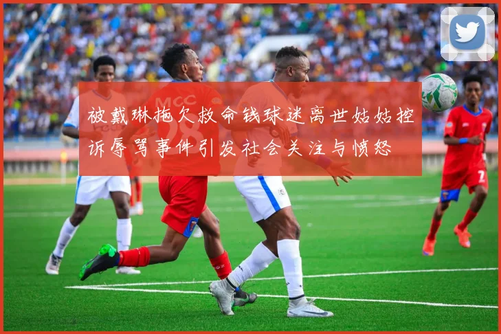 被戴琳拖欠救命钱球迷离世姑姑控诉辱骂事件引发社会关注与愤怒