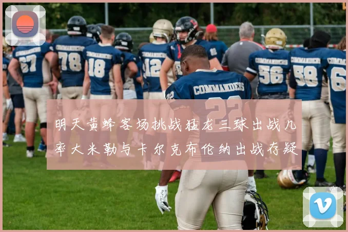 明天黄蜂客场挑战猛龙三球出战几率大米勒与卡尔克布伦纳出战存疑