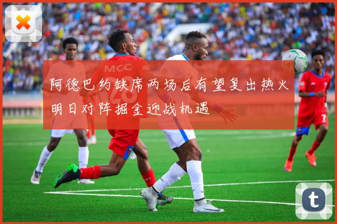 阿德巴约缺席两场后有望复出热火明日对阵掘金迎战机遇