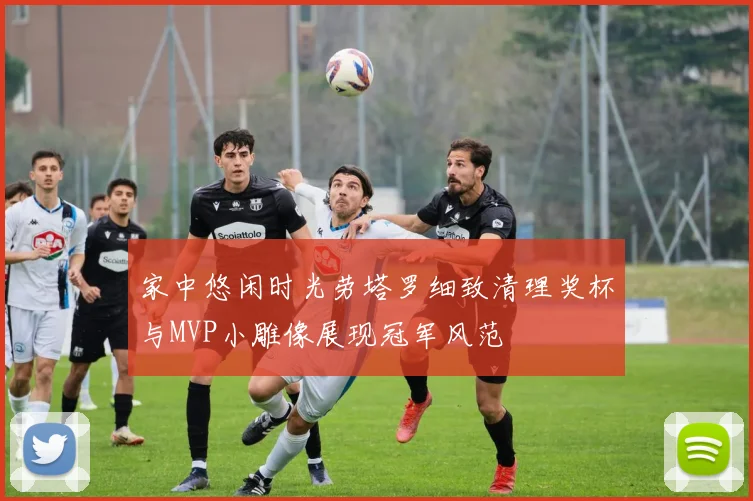 家中悠闲时光劳塔罗细致清理奖杯与MVP小雕像展现冠军风范
